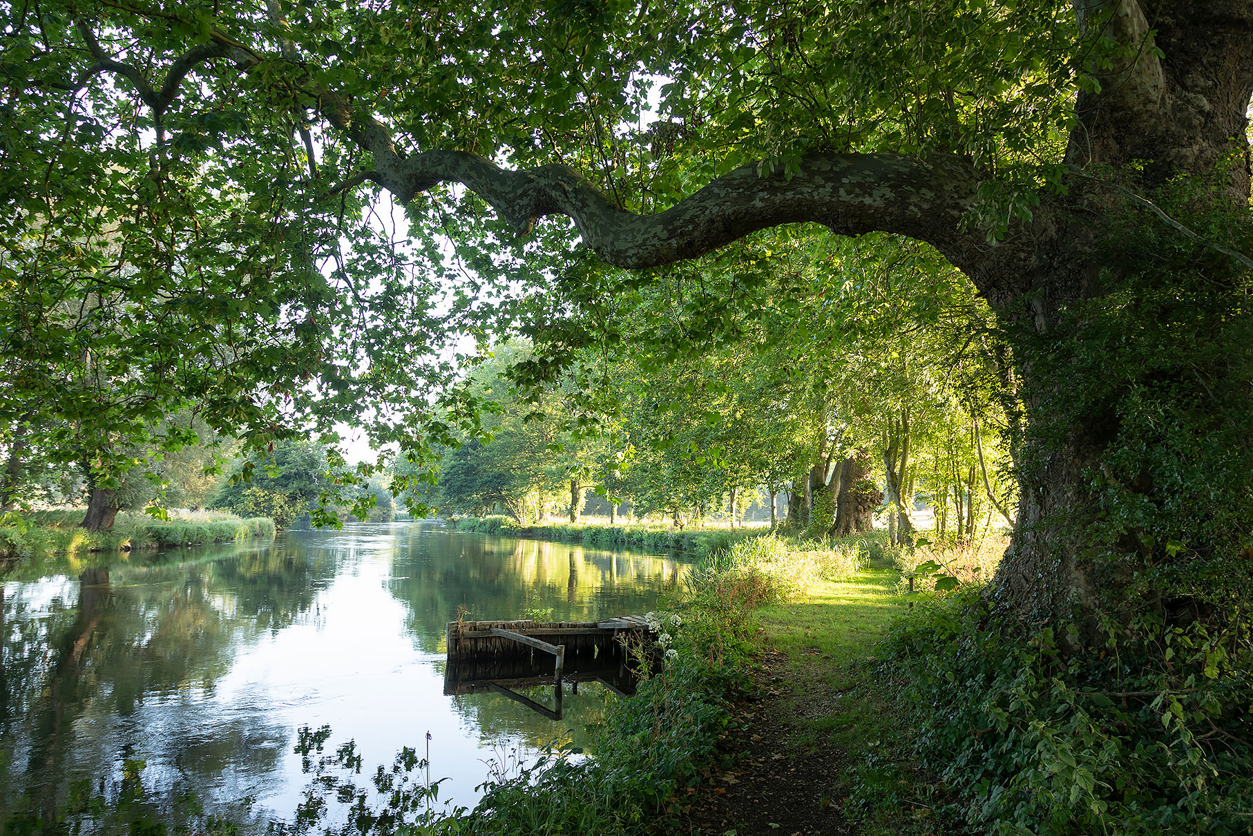 TEST, BROADLANDS