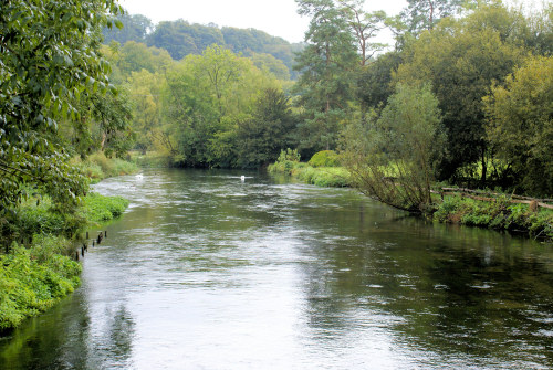 AVON, WOODFORD VALLEY
