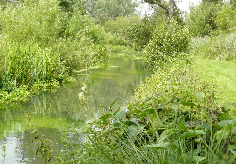 DUN, HUNGERFORD