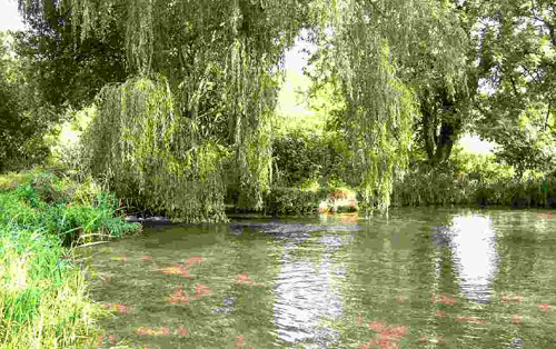 KENNET, AVINGTON/DENFORD