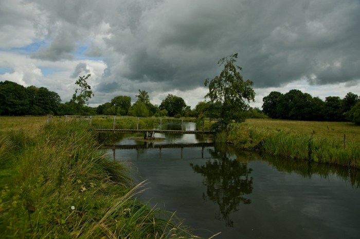 TEST, MOTTISFONT